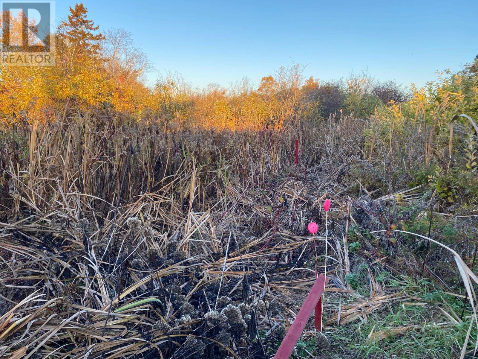 8741 Rte 11, Abrams Village, Prince Edward Island  C0B 2E0 - Photo 12 - 202528430