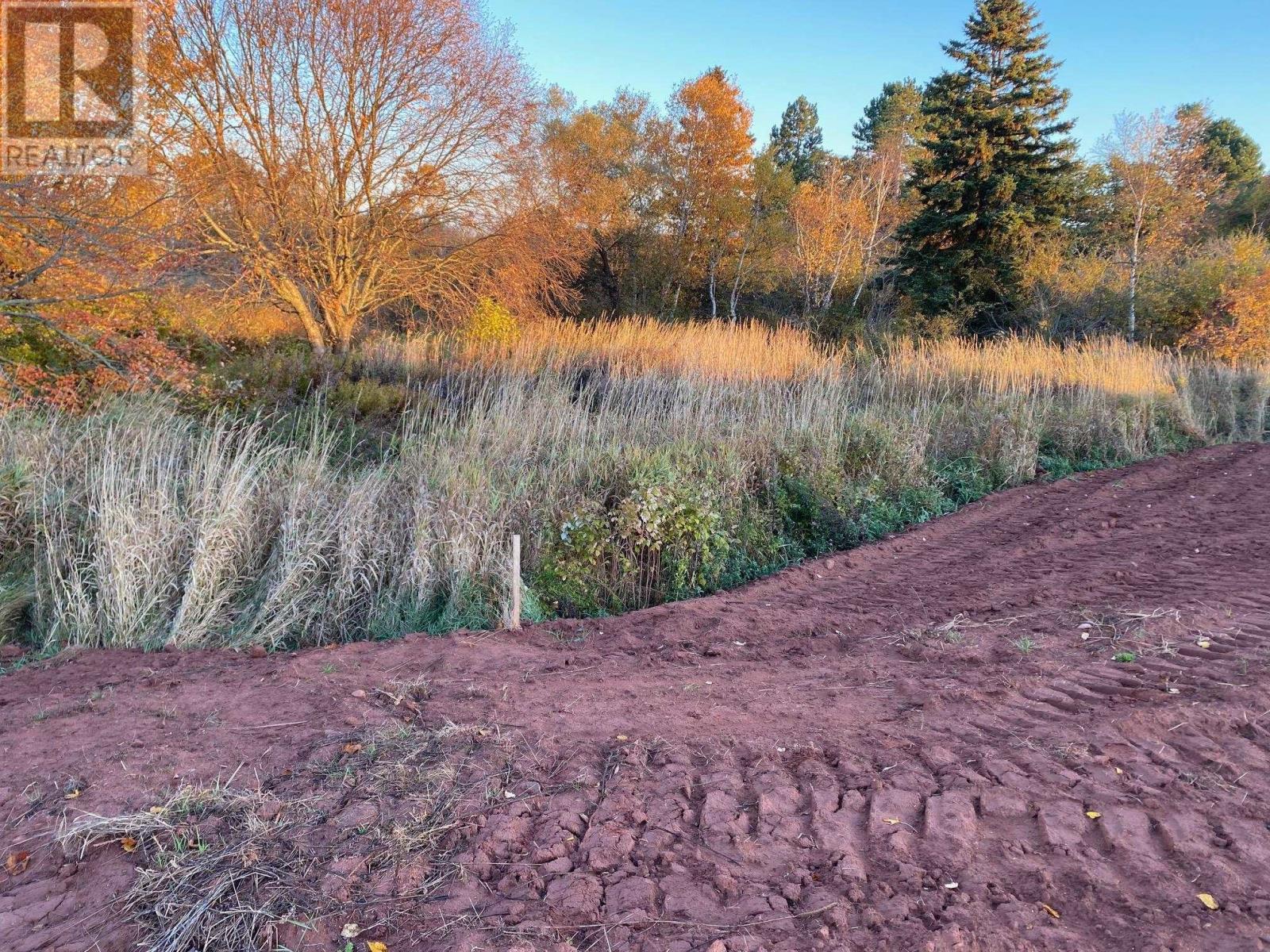 8741 Rte 11, Abrams Village, Prince Edward Island  C0B 2E0 - Photo 14 - 202528430