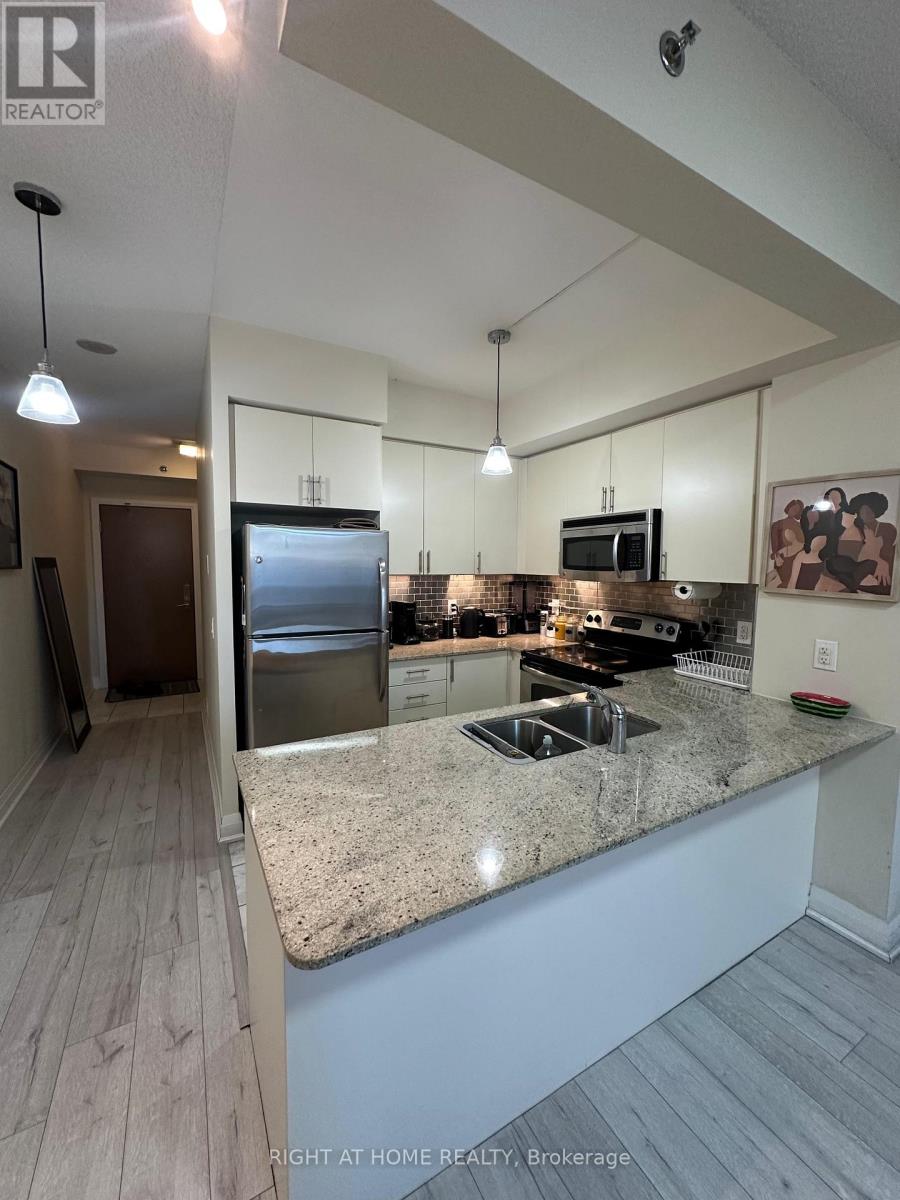 206 - 520 Steeles Avenue W, Vaughan, Ontario  L4J 0H2 - Photo 11 - N12570090