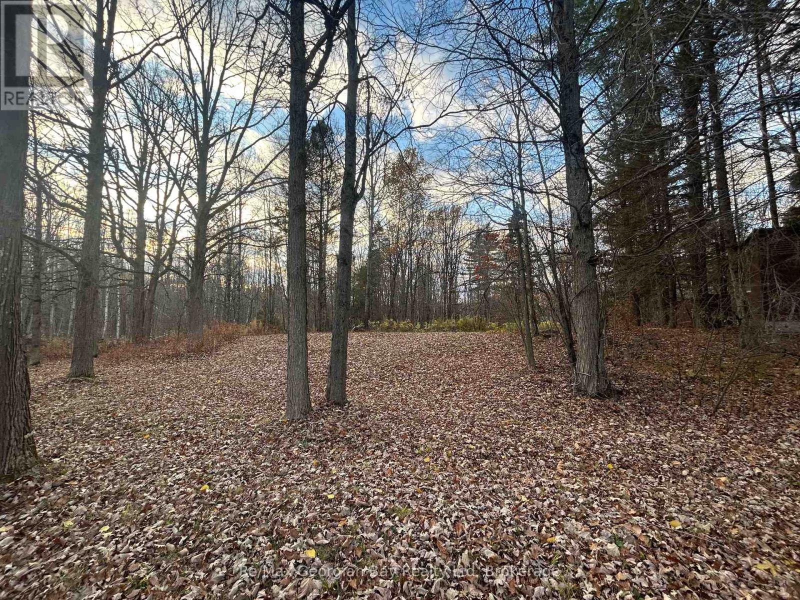 1666 Balkwill Line, Severn, Ontario  L0K 1E0 - Photo 11 - S12505598