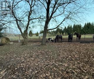 4922 First Line, Erin, Ontario L7J 2L9 - Photo 20 - X12570116