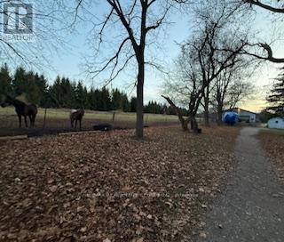 4922 First Line, Erin, Ontario L7J 2L9 - Photo 21 - X12570116