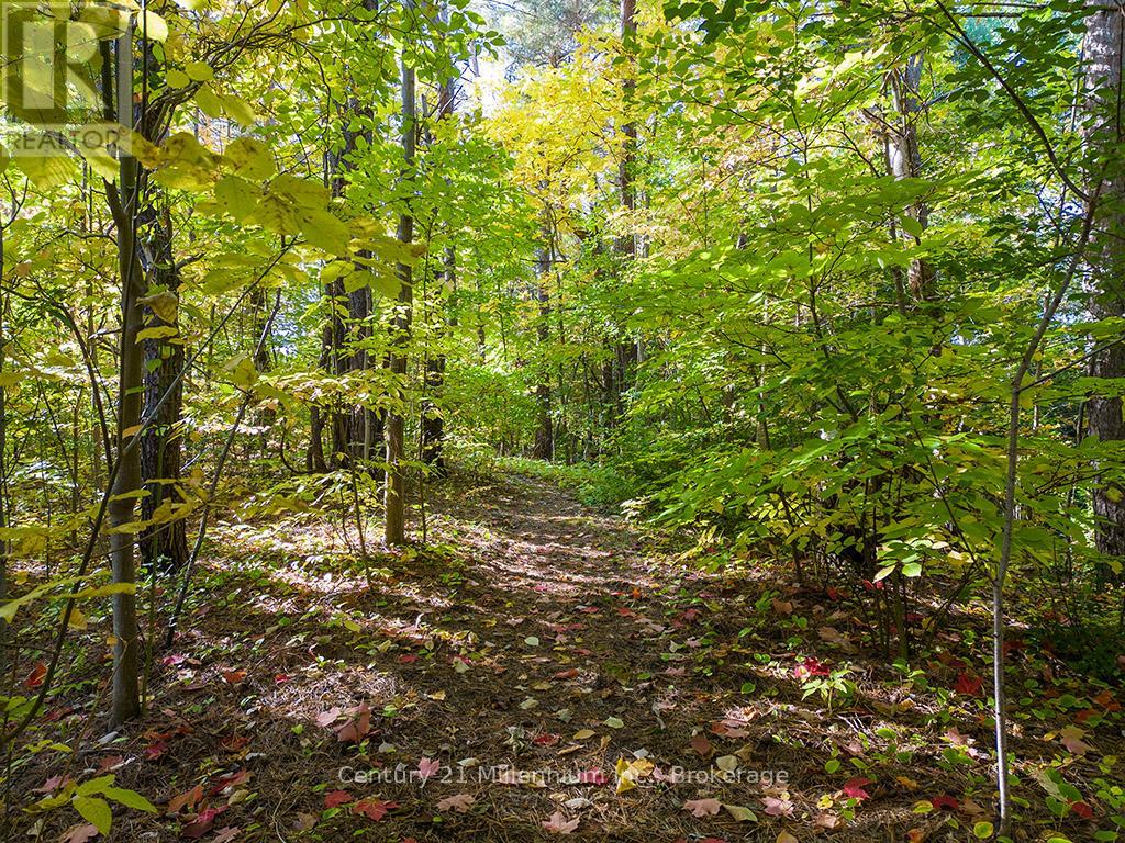265797 25th Side Road, Meaford, Ontario  N4L 1W5 - Photo 41 - X12563658