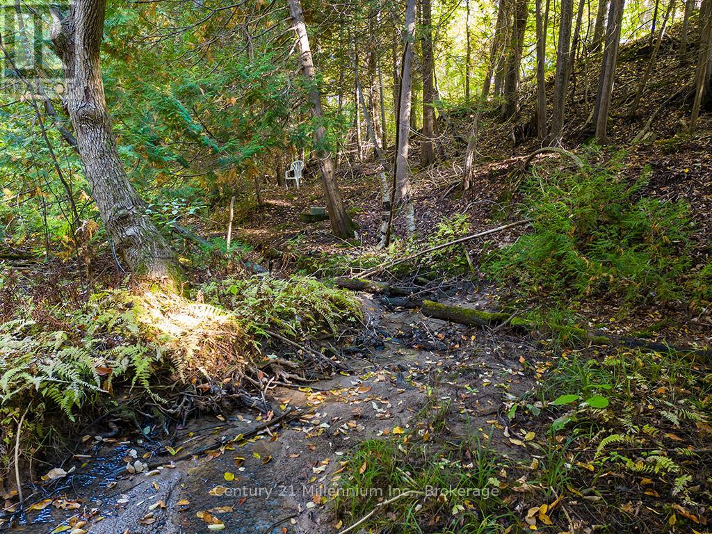 265797 25th Side Road, Meaford, Ontario  N4L 1W5 - Photo 44 - X12563658