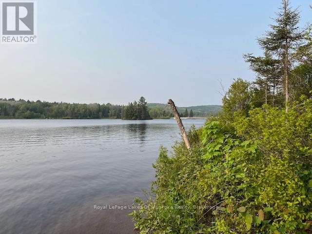 801 Sand Hill Road, South River, Ontario P0A 1Z0 - Photo 2 - X12203057