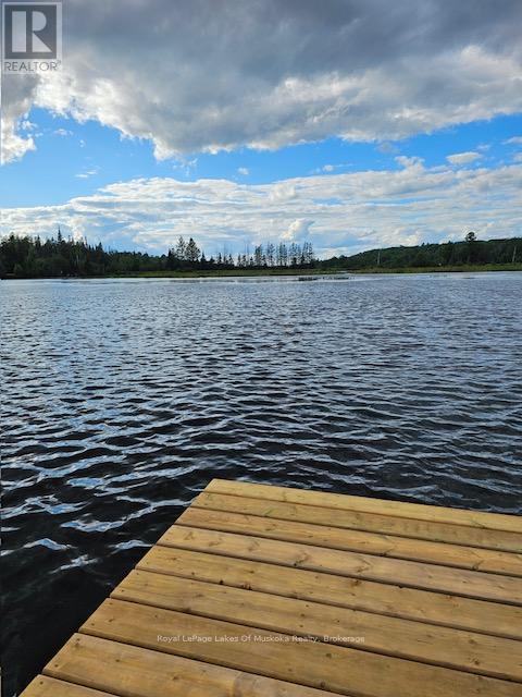 763 Sand Hill Road, South River, Ontario P0A 1X0 - Photo 3 - X12403553