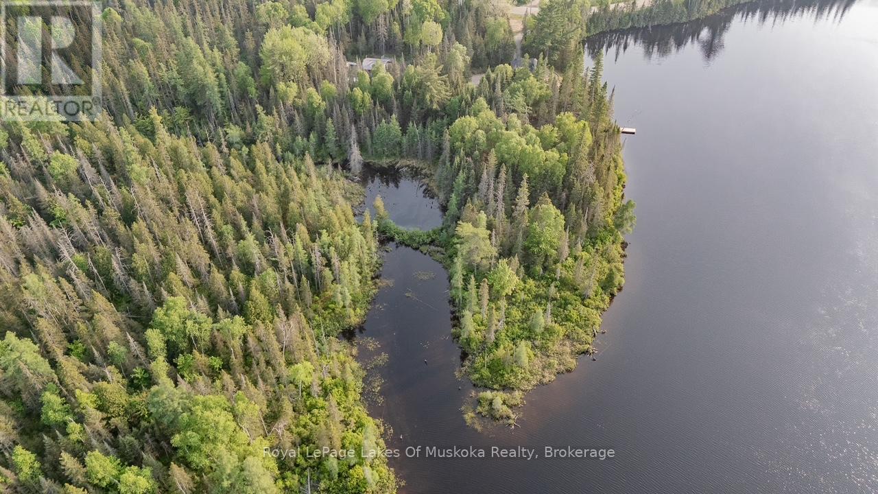 763 Sand Hill Road, South River, Ontario P0A 1X0 - Photo 39 - X12403553