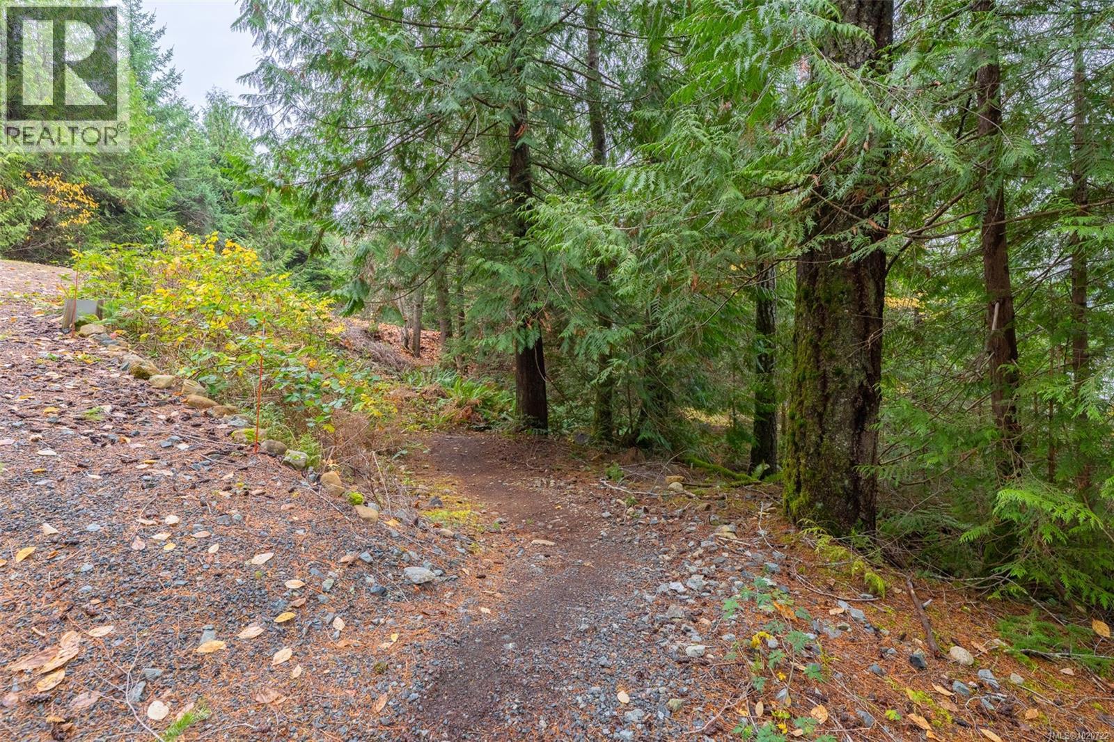 10115 South Dr, Port Alberni, British Columbia  V9Y 9A7 - Photo 57 - 1020722