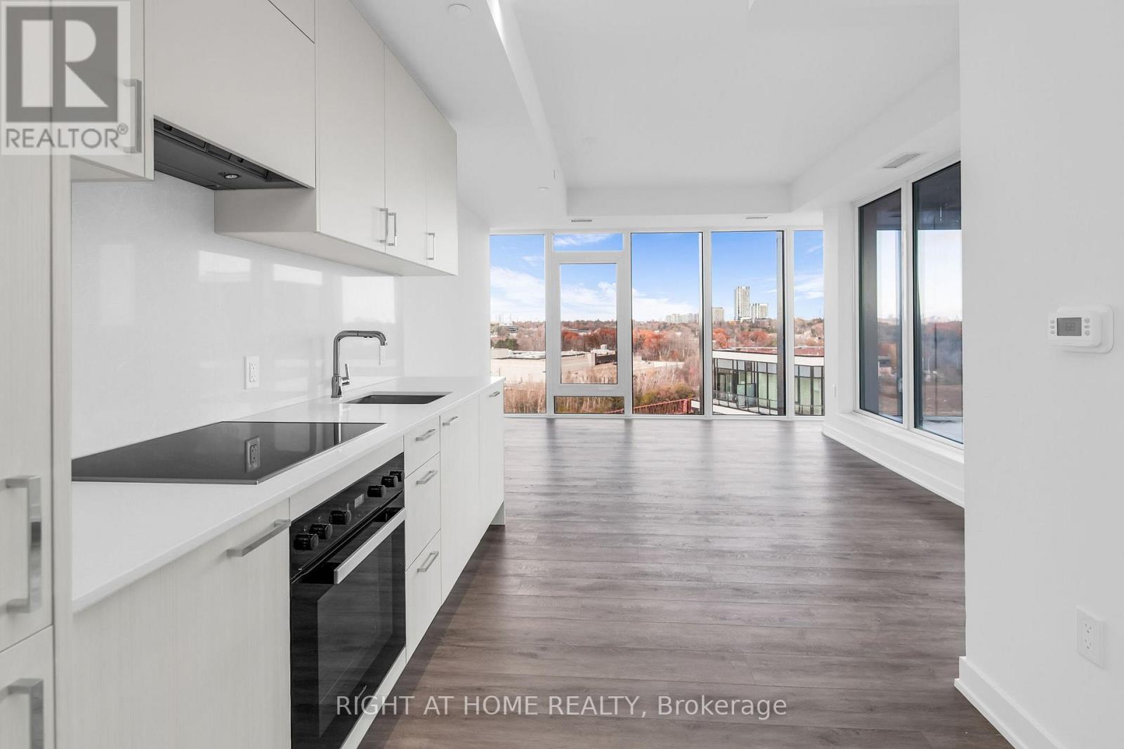 919 - 1 Quarrington Lane, Toronto, Ontario M3C 1H7 - Photo 3 - C12562718