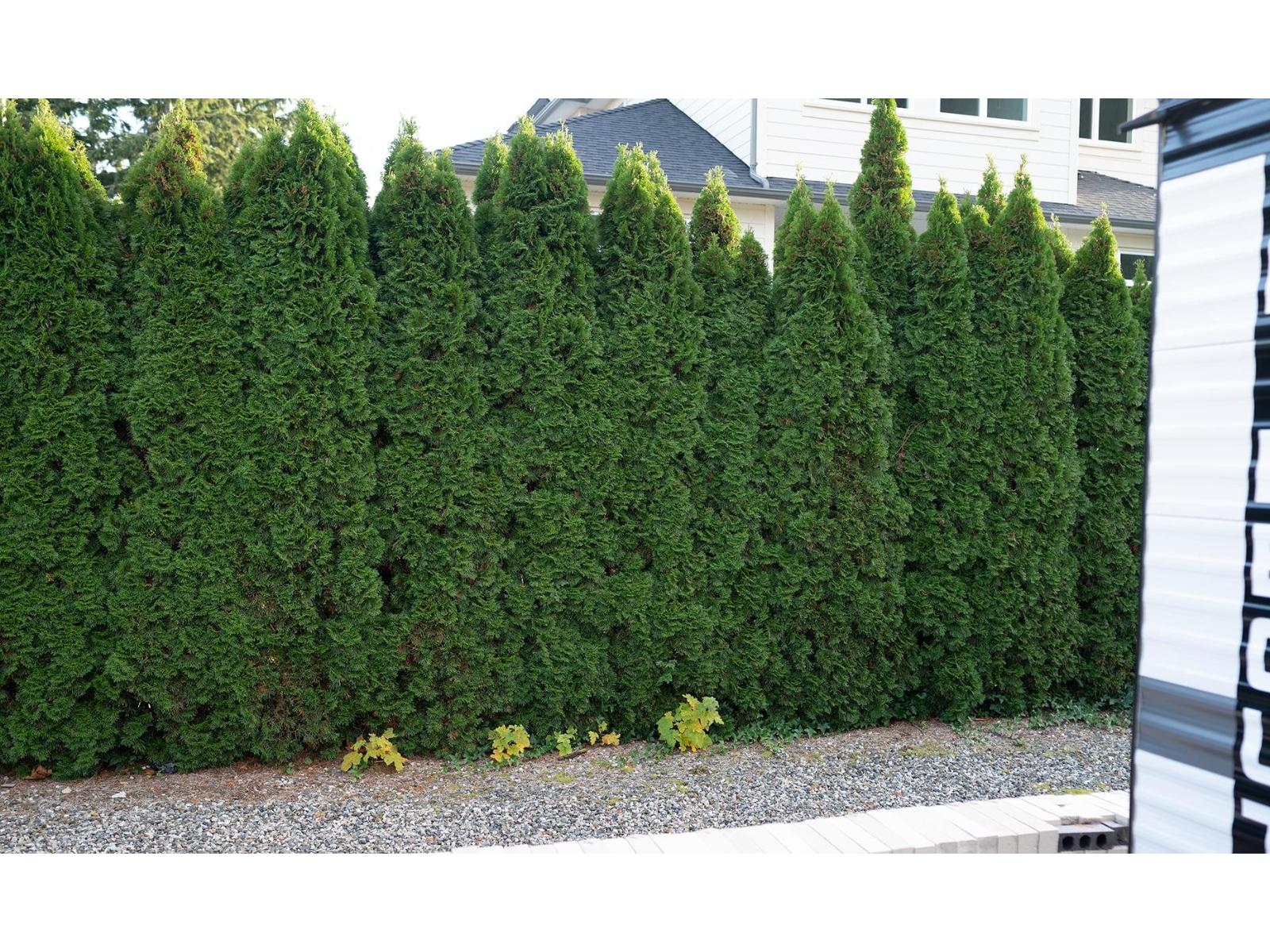 133 14600 Morris Valley Road, Mission, British Columbia  V0M 1A1 - Photo 7 - R3066550