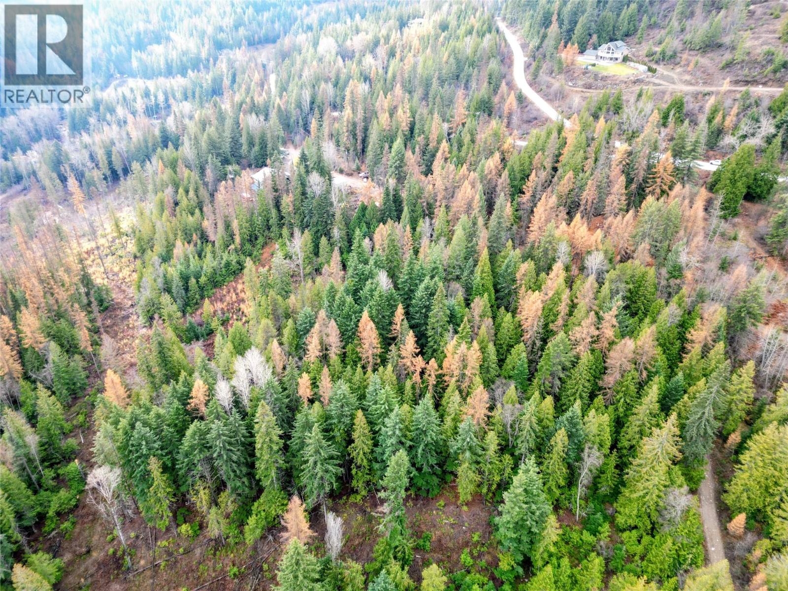 766 Drakes Road, Rossland, British Columbia  V0G 1Y0 - Photo 10 - 10369783