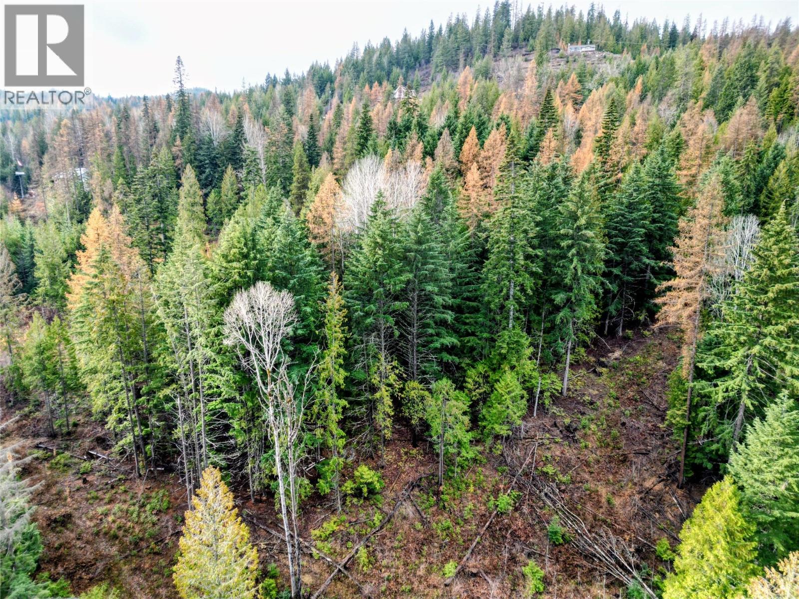 766 Drakes Road, Rossland, British Columbia  V0G 1Y0 - Photo 9 - 10369783