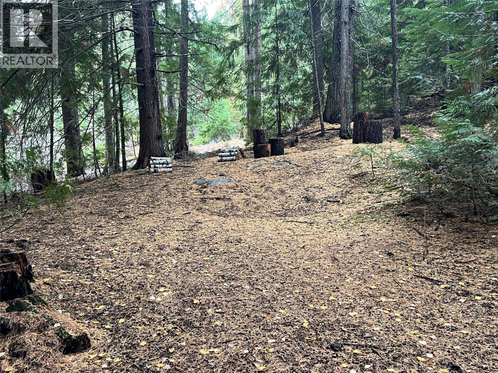 766 Drakes Road, Rossland, British Columbia  V0G 1Y0 - Photo 14 - 10369783