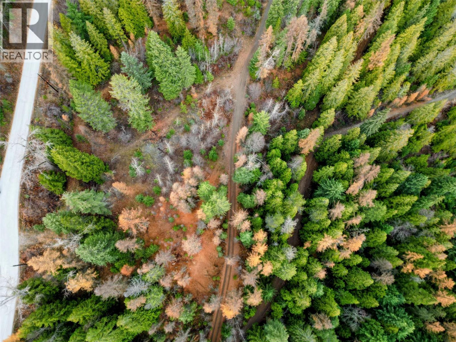 766 Drakes Road, Rossland, British Columbia  V0G 1Y0 - Photo 7 - 10369783