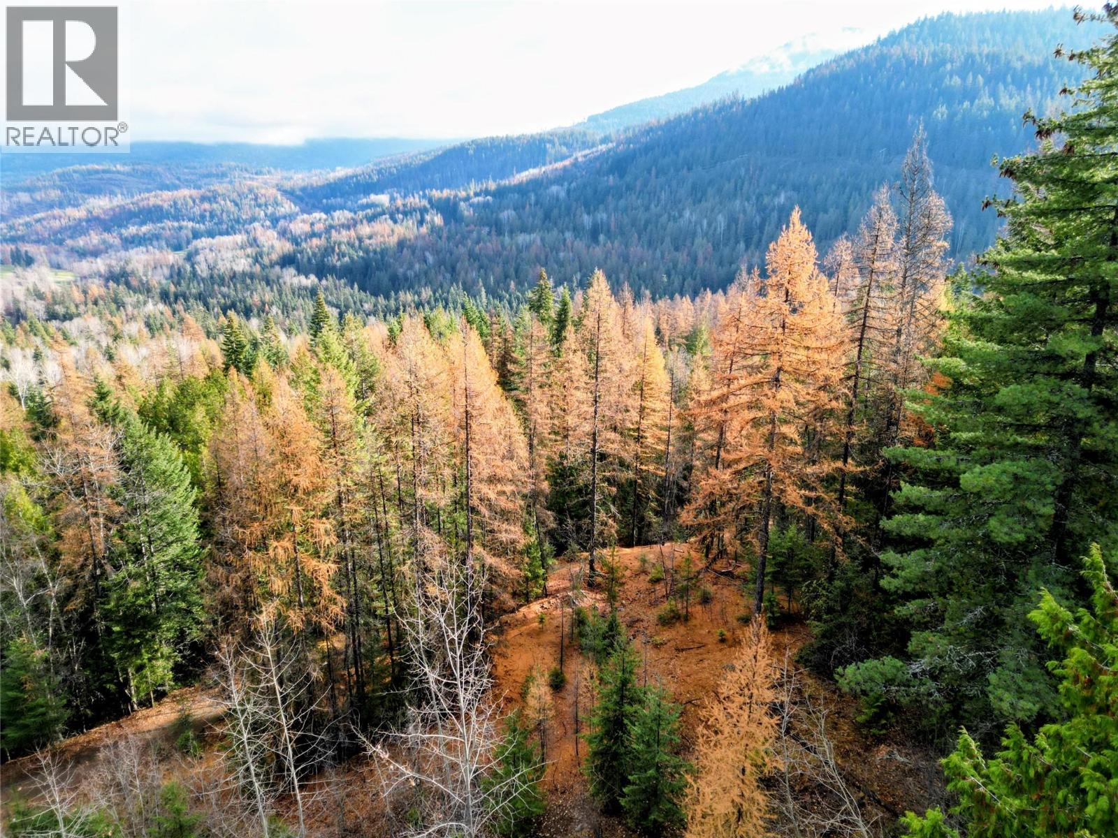 766 Drakes Road, Rossland, British Columbia  V0G 1Y0 - Photo 13 - 10369783