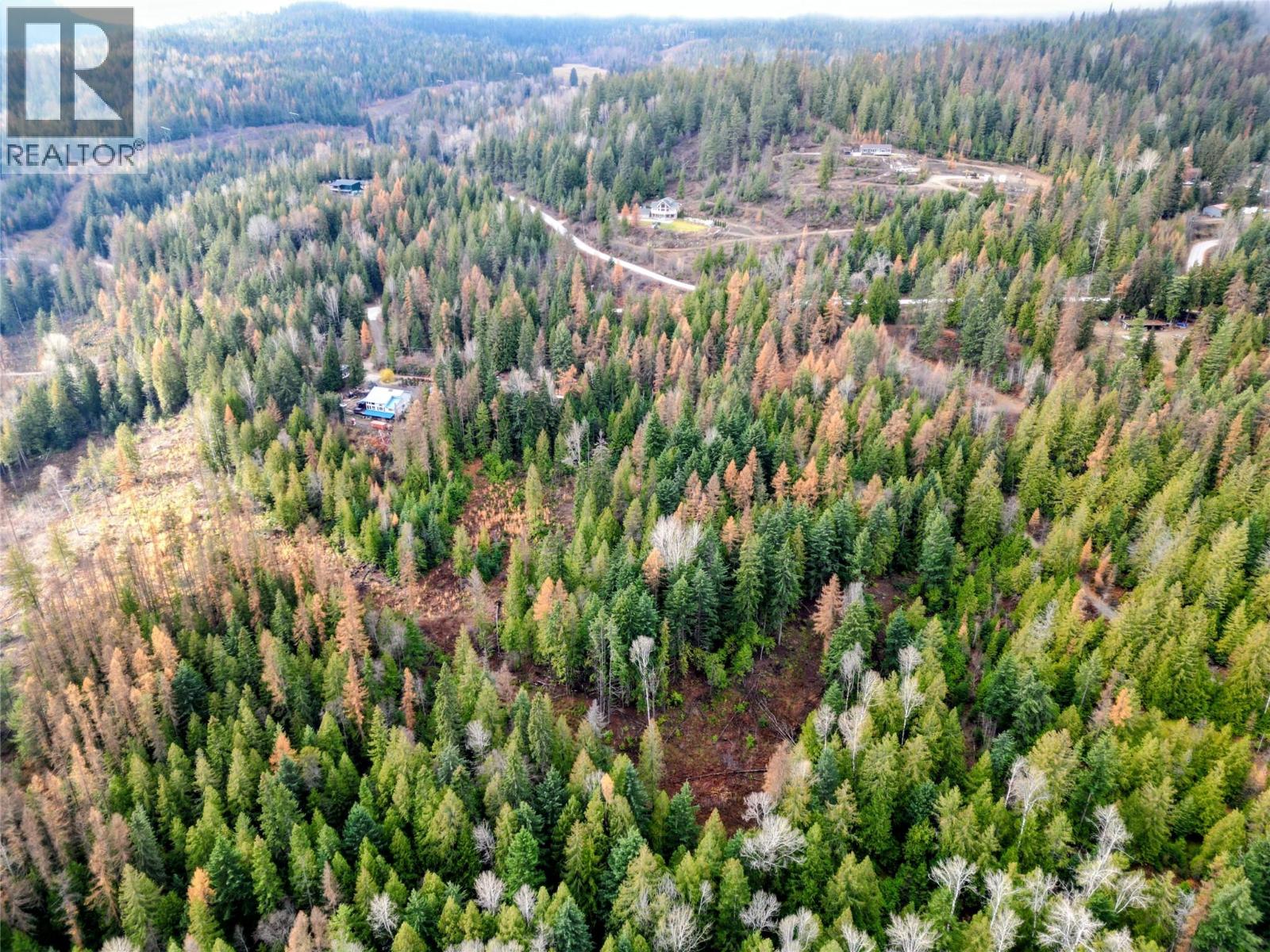 766 Drakes Road, Rossland, British Columbia  V0G 1Y0 - Photo 8 - 10369783