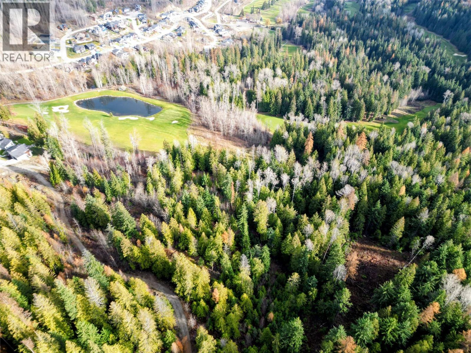 766 Drakes Road, Rossland, British Columbia  V0G 1Y0 - Photo 4 - 10369783