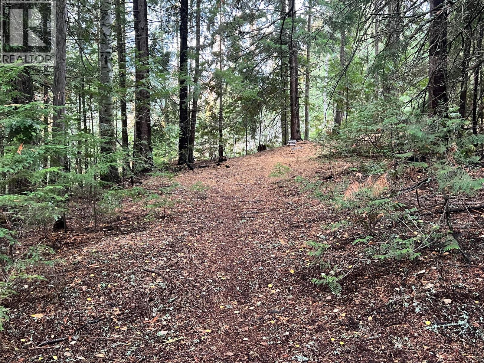 766 Drakes Road, Rossland, British Columbia  V0G 1Y0 - Photo 15 - 10369783