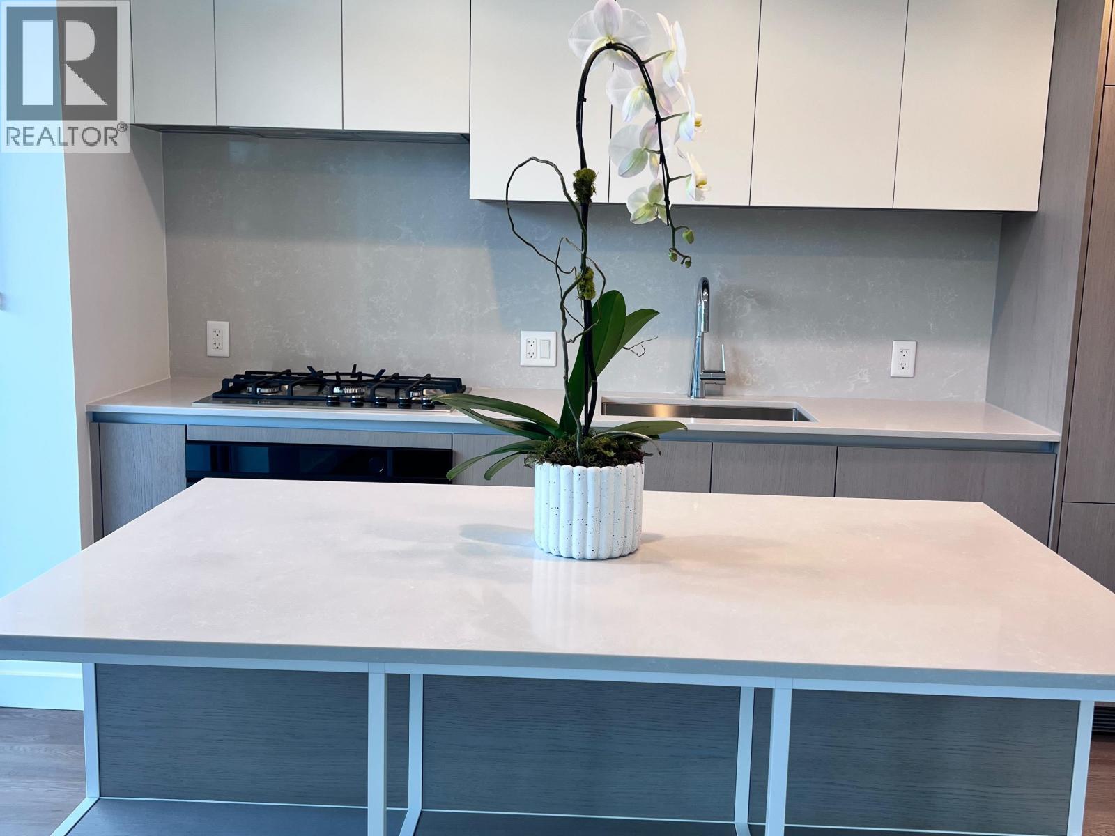 204 5685 Halley Avenue, Burnaby, British Columbia  V5E 4M1 - Photo 4 - R3069504