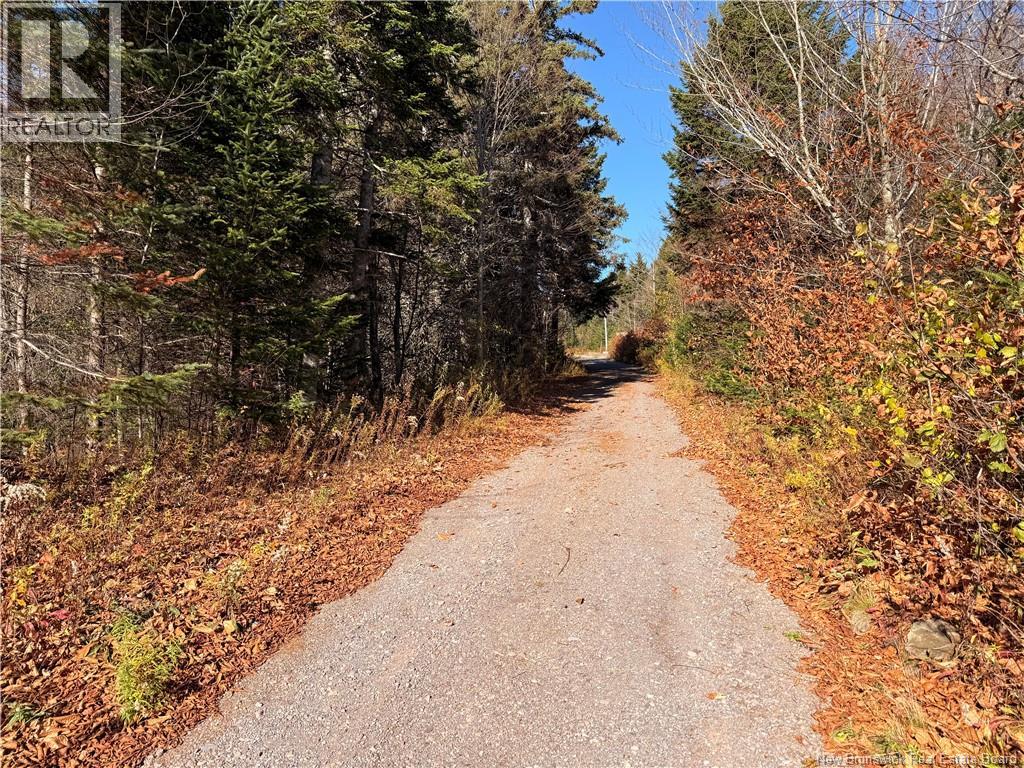 711 Big Salmon River Road, St. Martins, New Brunswick  E5R 1J7 - Photo 33 - NB129471