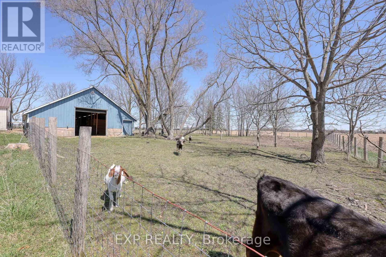 3892 Lewis Road, Thames Centre, Ontario  N0L 1V0 - Photo 10 - X12570618