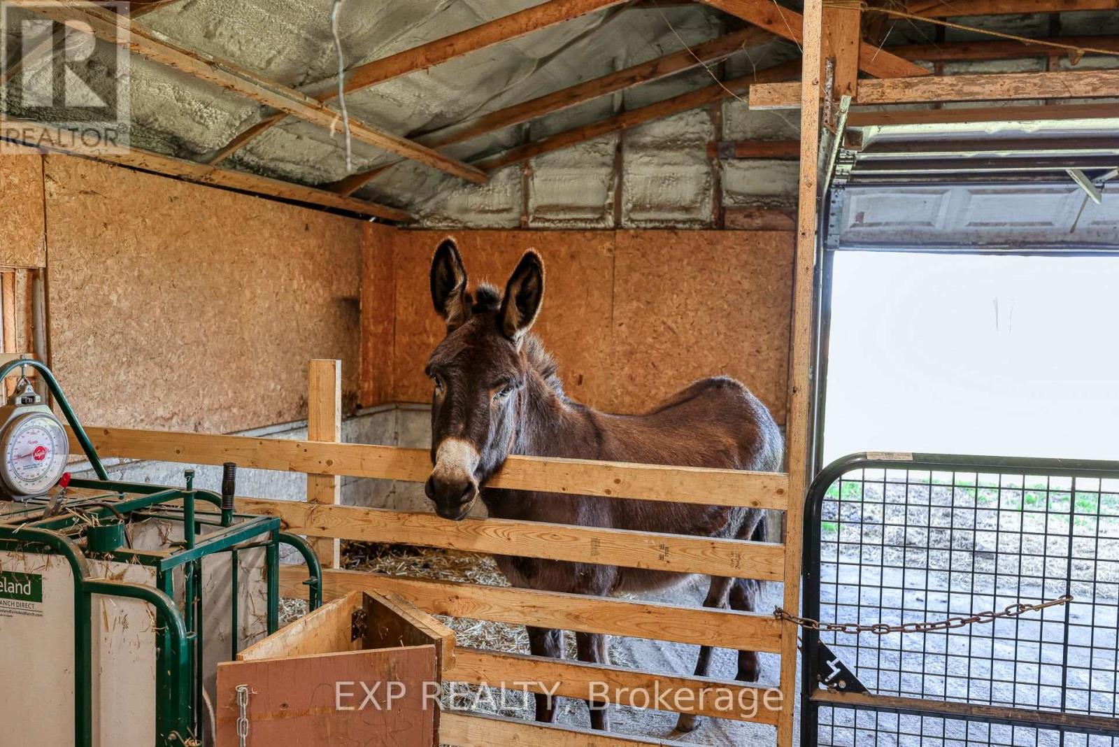 3892 Lewis Road, Thames Centre, Ontario  N0L 1V0 - Photo 13 - X12570618