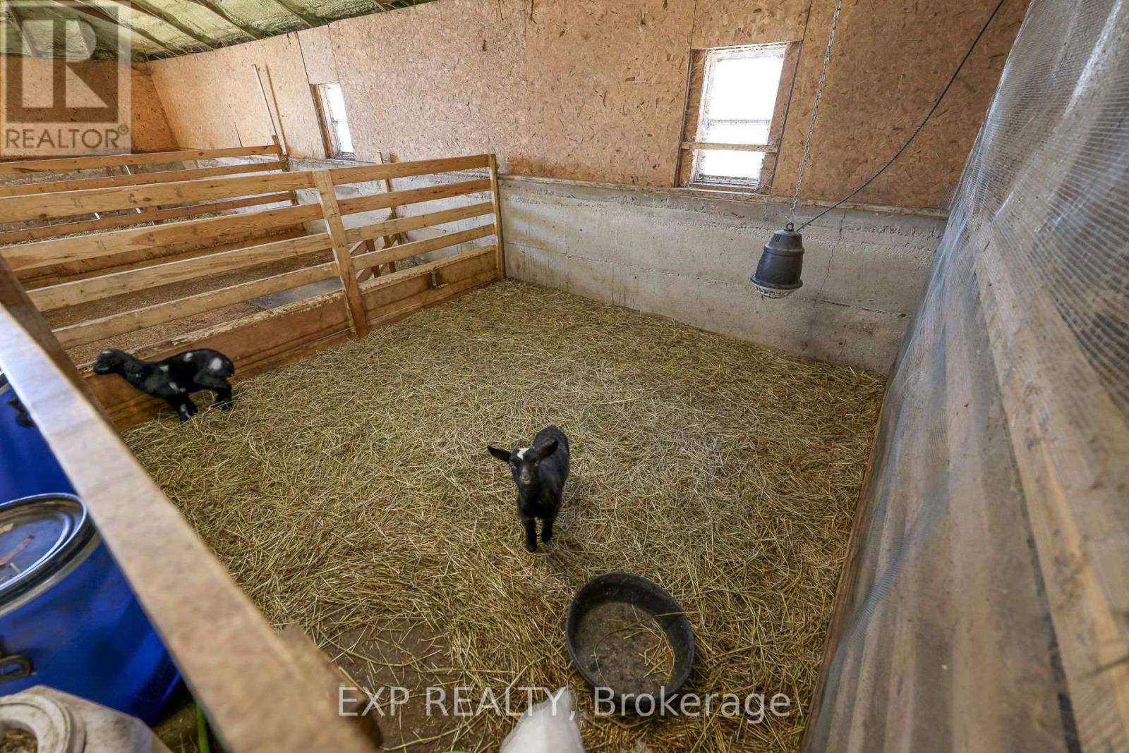 3892 Lewis Road, Thames Centre, Ontario  N0L 1V0 - Photo 16 - X12570618