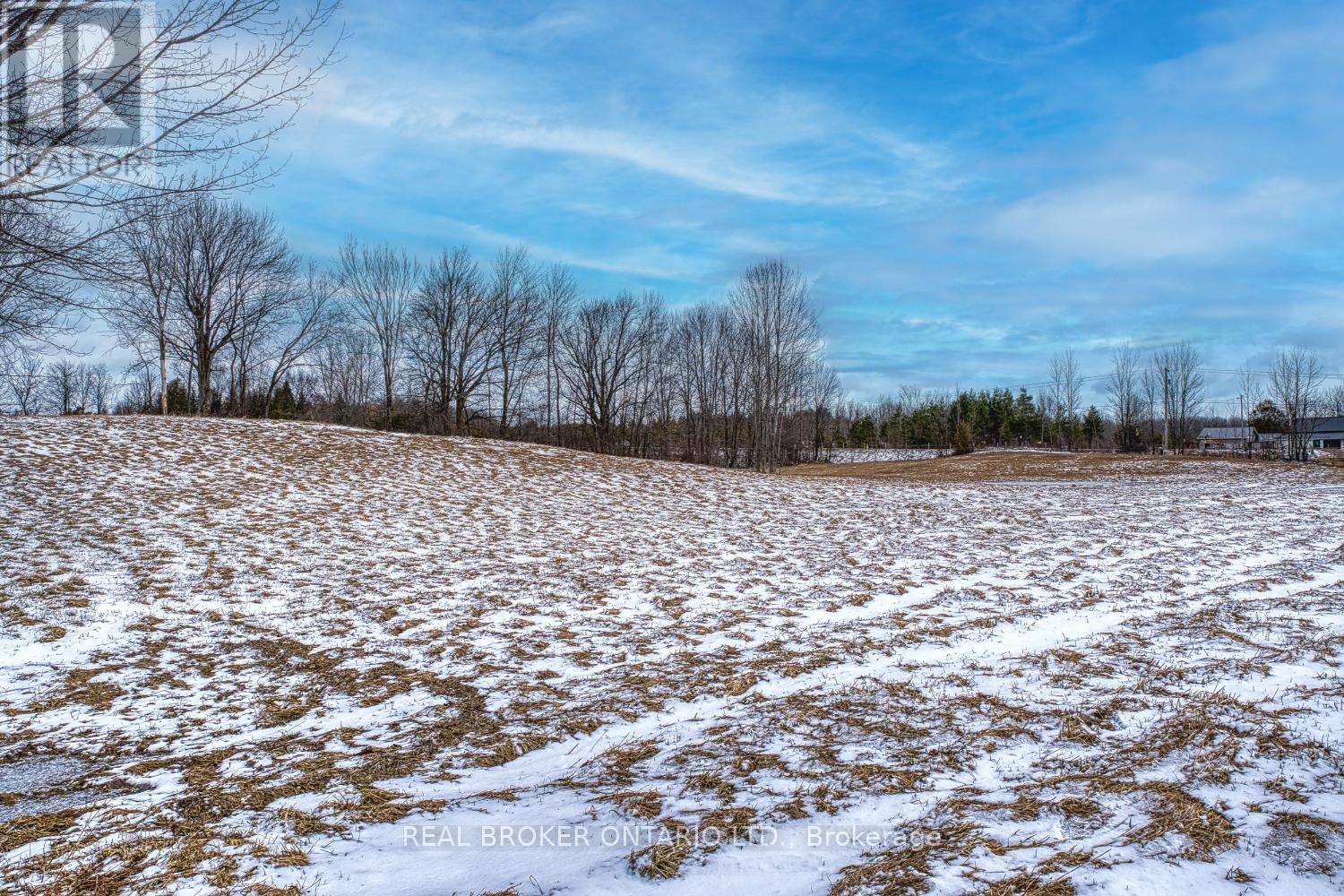 316486 6 Highway, Chatsworth, Ontario  N0H 1G0 - Photo 10 - X12570624