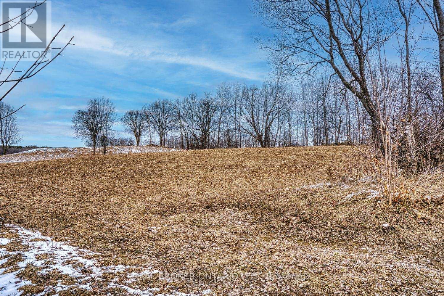 316486 6 Highway, Chatsworth, Ontario  N0H 1G0 - Photo 5 - X12570624