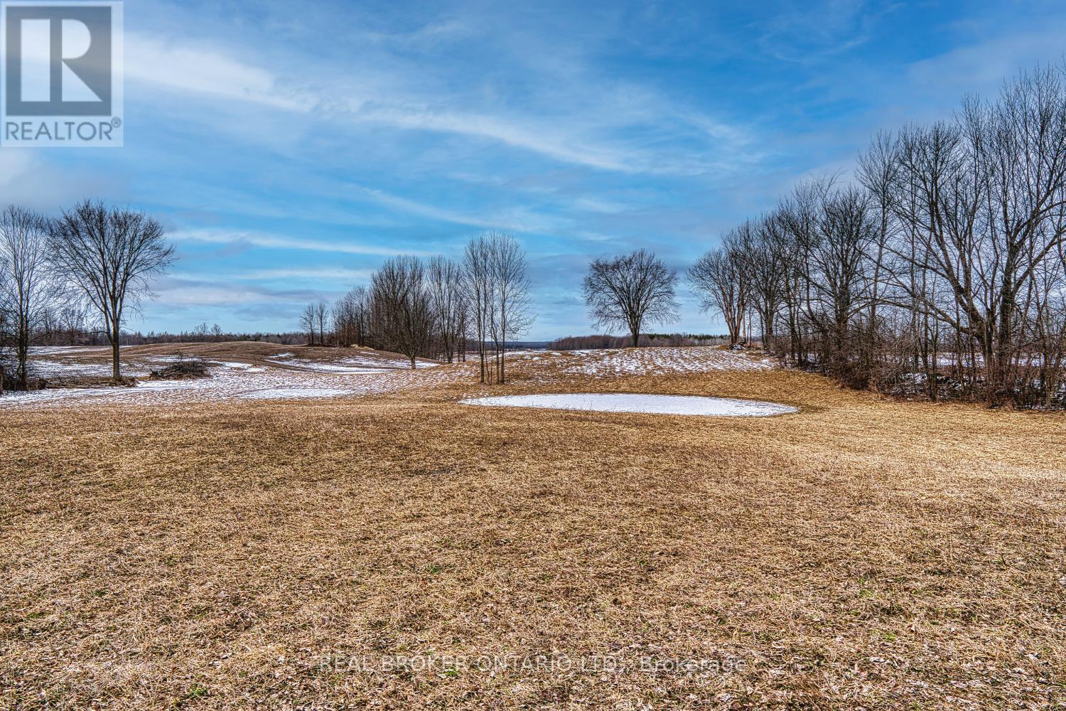 316486 6 Highway, Chatsworth, Ontario  N0H 1G0 - Photo 6 - X12570624