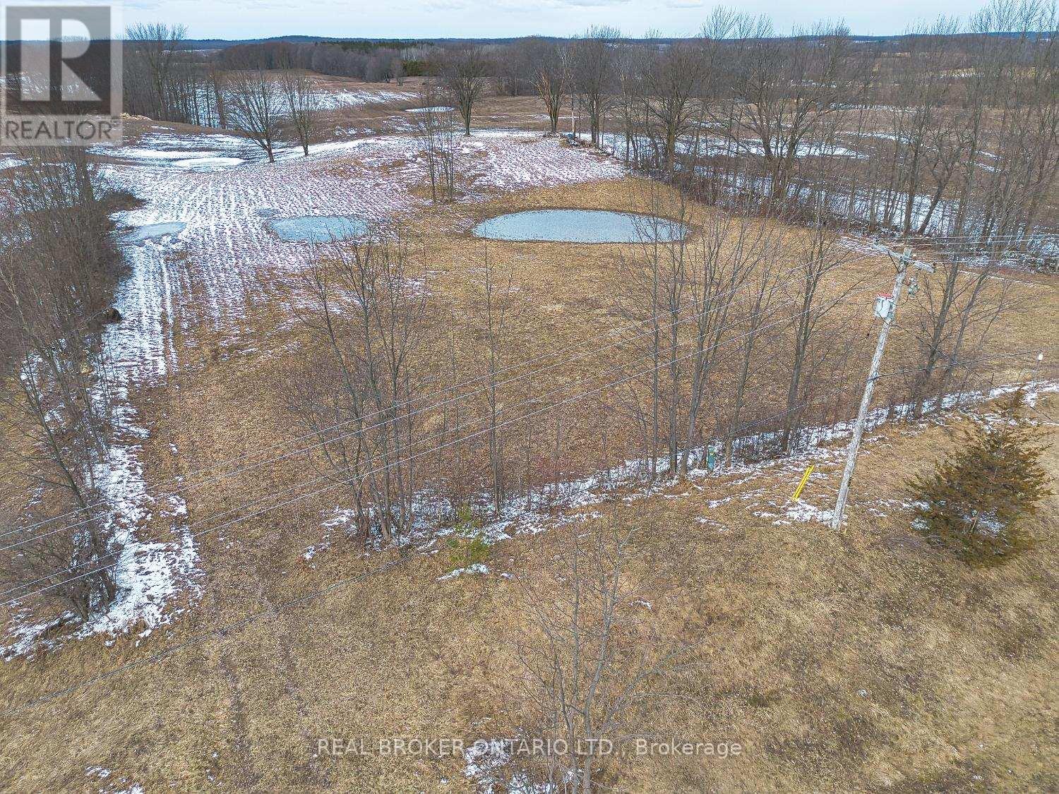 316486 6 Highway, Chatsworth, Ontario  N0H 1G0 - Photo 9 - X12570624