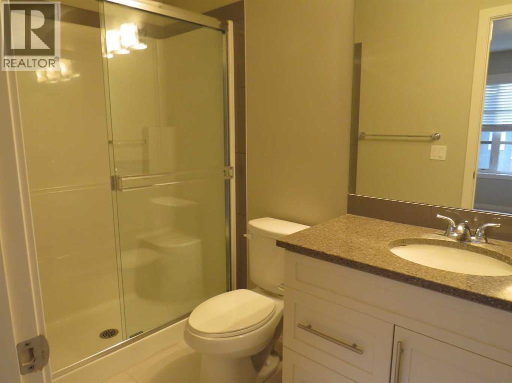 309 Evansridge Park Nw, Calgary, Alberta  T3P 0N7 - Photo 20 - A2271017