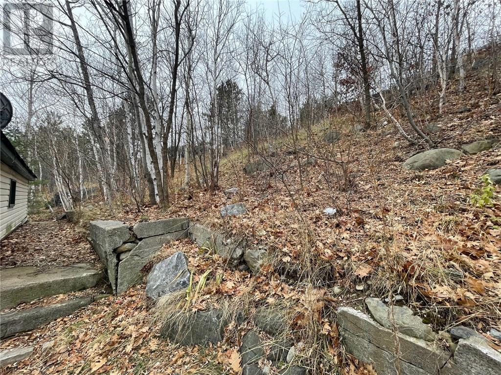 306 Kathleen Street, Sudbury, Ontario  P3C 2M2 - Photo 11 - 2125713