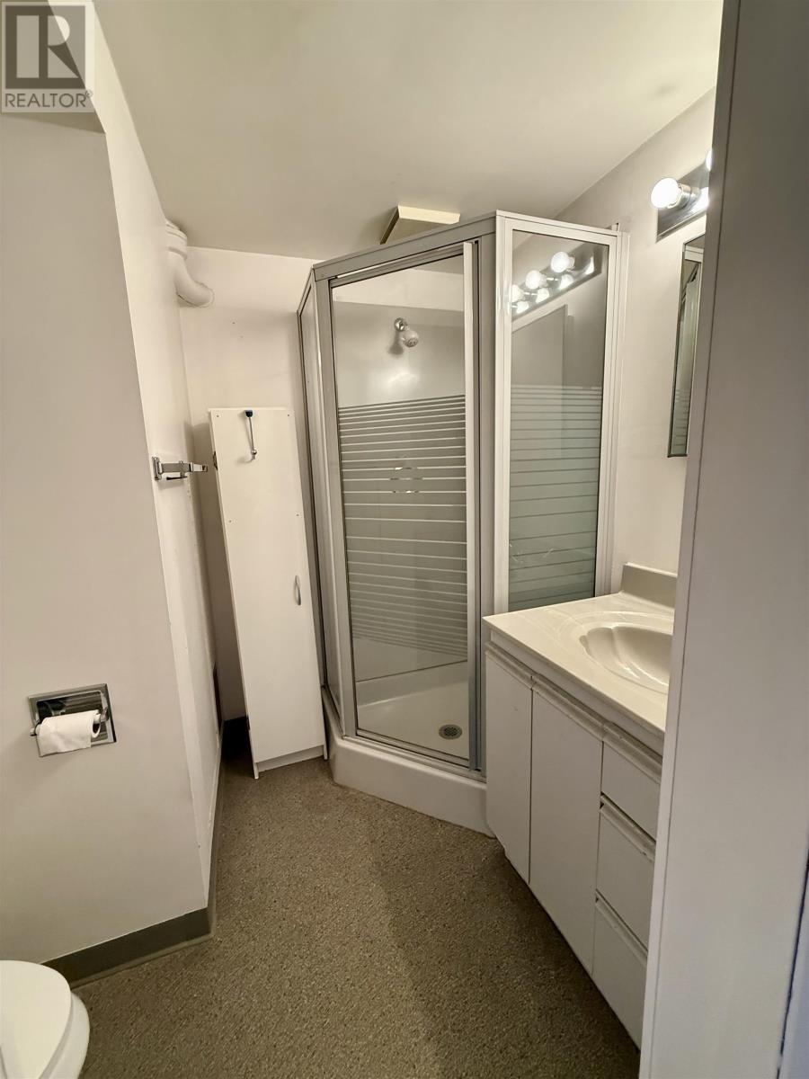 164 Christina St E, Thunder Bay, Ontario  P7E 4N5 - Photo 20 - TB253503