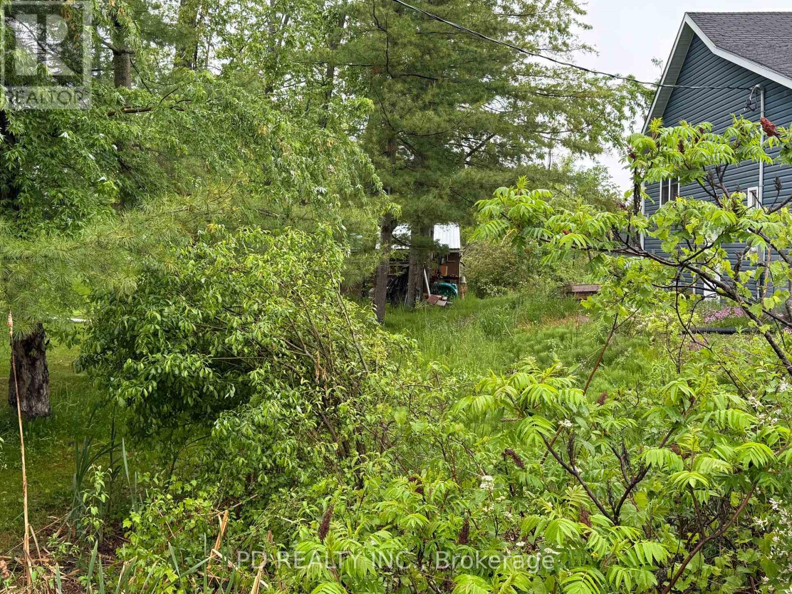 22 Helen Drive, Kawartha Lakes, Ontario  K0L 2W0 - Photo 6 - X12197614