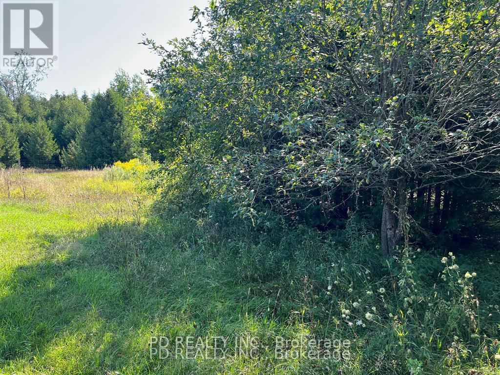 N/a Asphodel 12th Line, Asphodel-Norwood, Ontario  K0L 2V0 - Photo 8 - X12275201