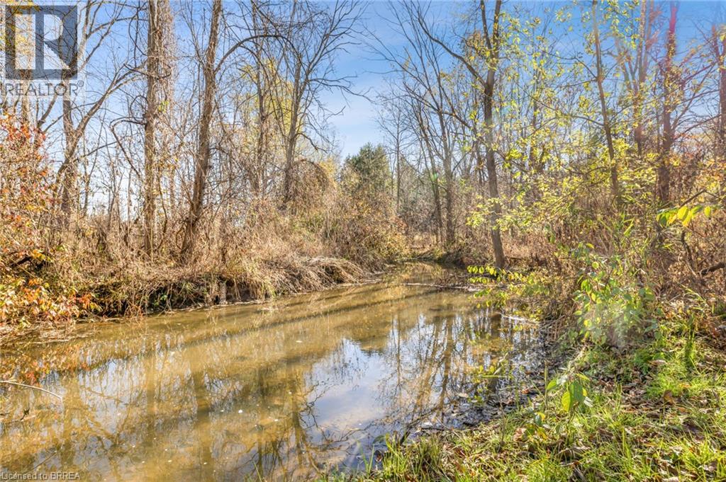 52 Main Street Rockford, Rockford, Ontario  N0E 1Y0 - Photo 19 - 40784799