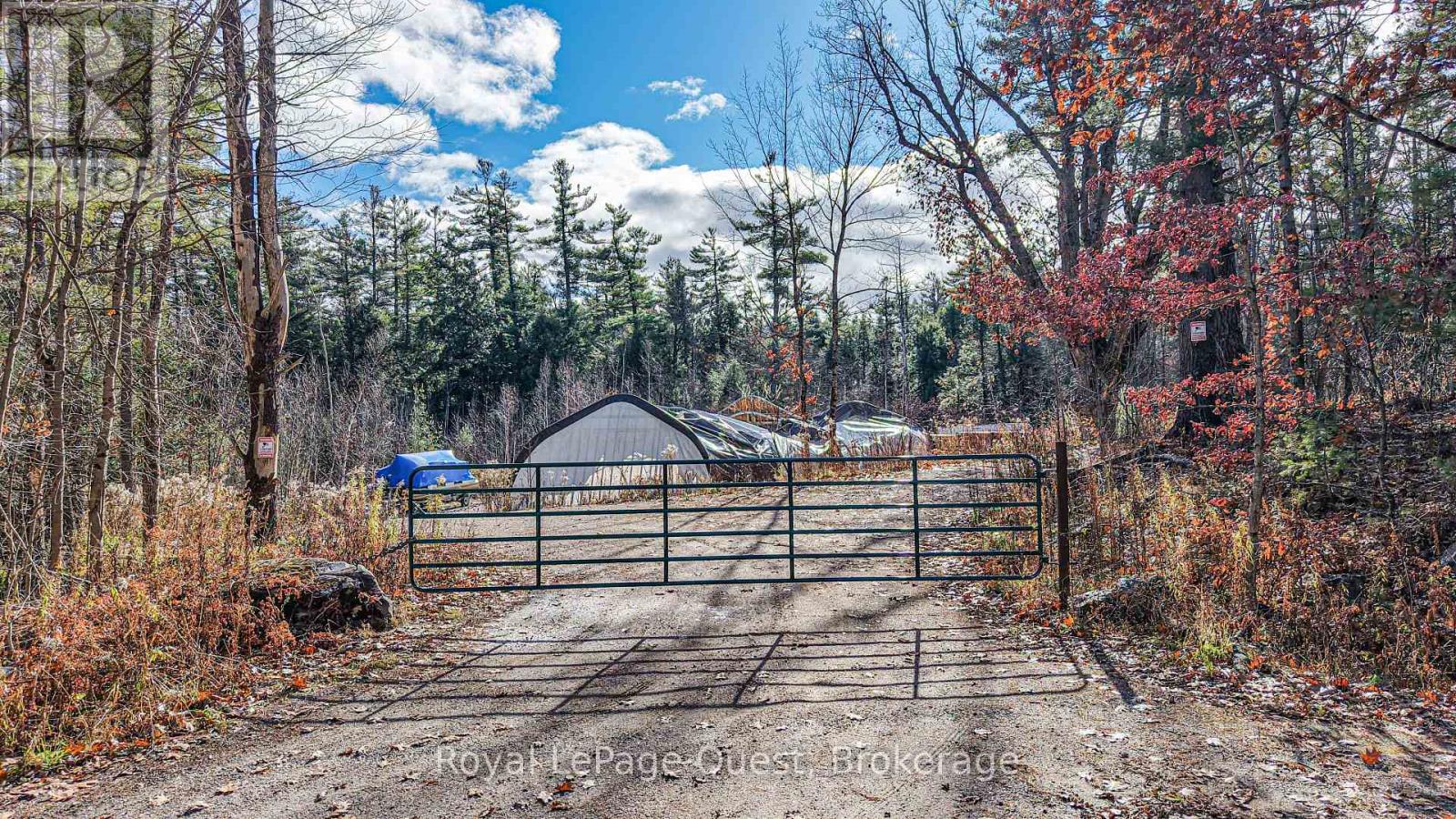 1267 Graham Road, Gravenhurst, Ontario  P0E 1N0 - Photo 3 - X12570880