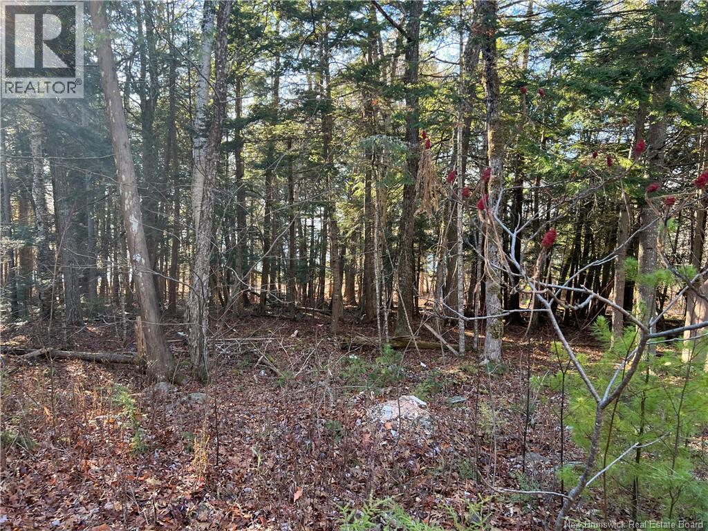 4 Pamela Lane, Wickham, New Brunswick  E5T 0B6 - Photo 6 - NB130434