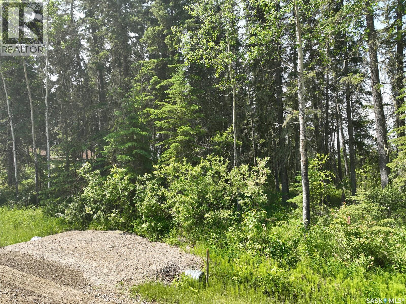 117 Lakeview Drive, Candle Lake, Saskatchewan  S0J 3E0 - Photo 5 - SK010245