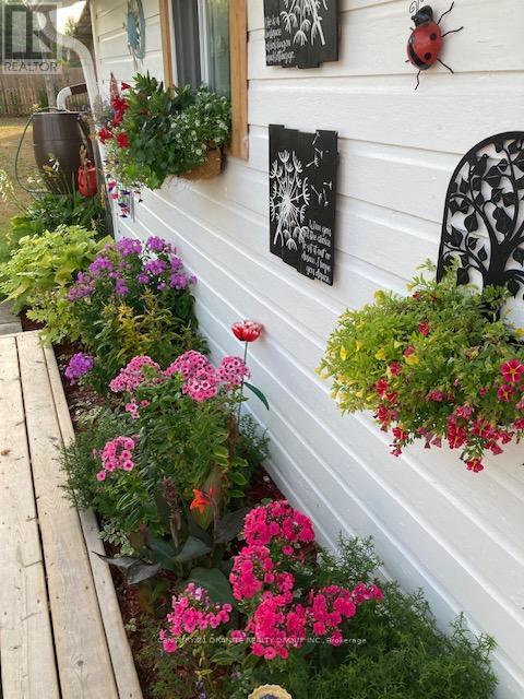 114 Paudash Lake Road, Faraday, Ontario K0L 1C0 - Photo 43 - X12556194