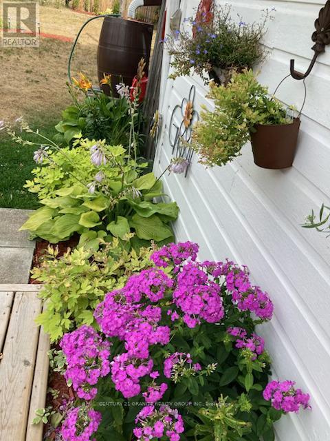 114 Paudash Lake Road, Faraday, Ontario K0L 1C0 - Photo 45 - X12556194