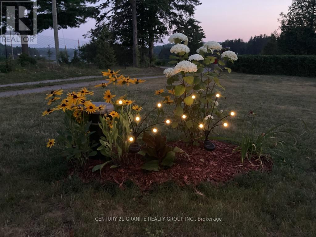 114 Paudash Lake Road, Faraday, Ontario K0L 1C0 - Photo 47 - X12556194