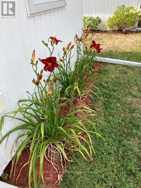 114 Paudash Lake Road, Faraday, Ontario K0L 1C0 - Photo 49 - X12556194