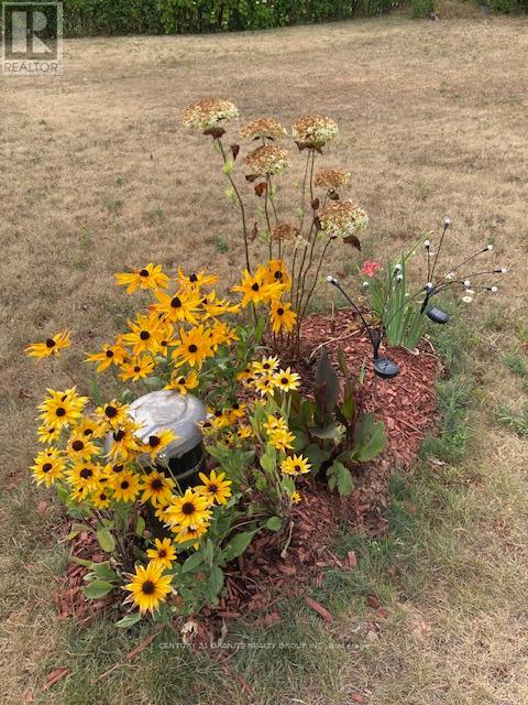 114 Paudash Lake Road, Faraday, Ontario K0L 1C0 - Photo 44 - X12556194