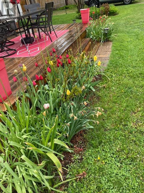 114 Paudash Lake Road, Faraday, Ontario K0L 1C0 - Photo 50 - X12556194