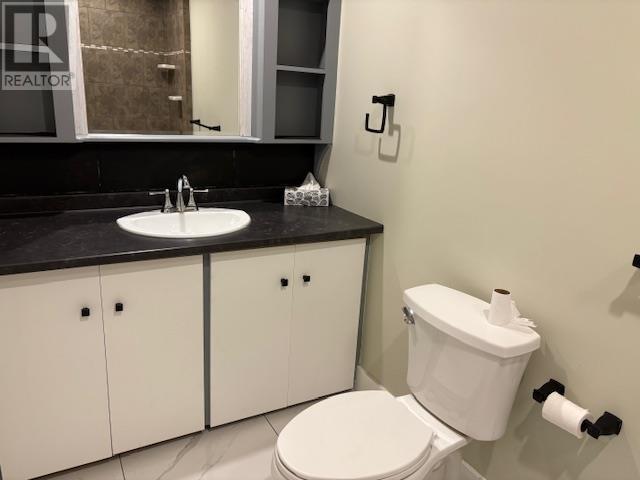 254 Patrick St, Sault Ste. Marie, Ontario  P6C 3Y4 - Photo 8 - SM253081