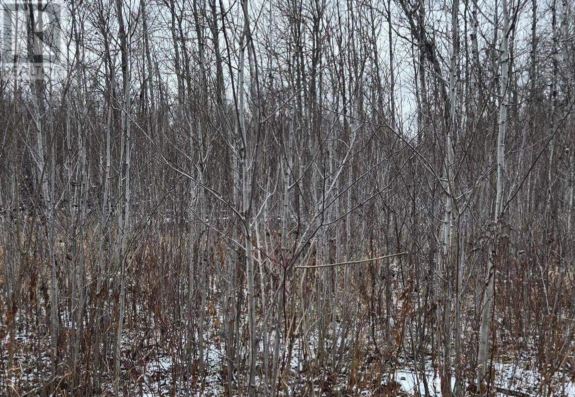 Pcl 11368, Township Of Morley, Ontario  P0W 1N0 - Photo 9 - TB253536