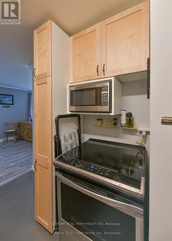 29 Quinn Avenue, Orillia, Ontario  L3V 3H6 - Photo 19 - S12571198