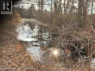 764 Forestry Road, Simcoe, Ontario  N0E 1P0 - Photo 3 - 40762014